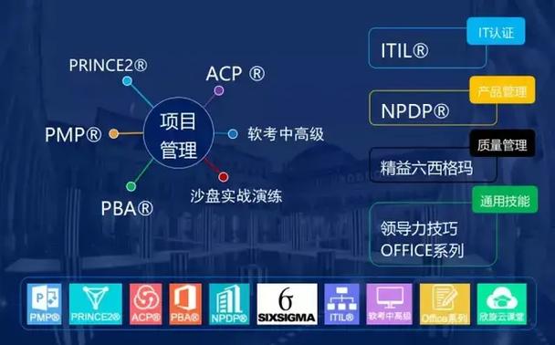 在企业战略执行中项目管理的角色是怎样的?